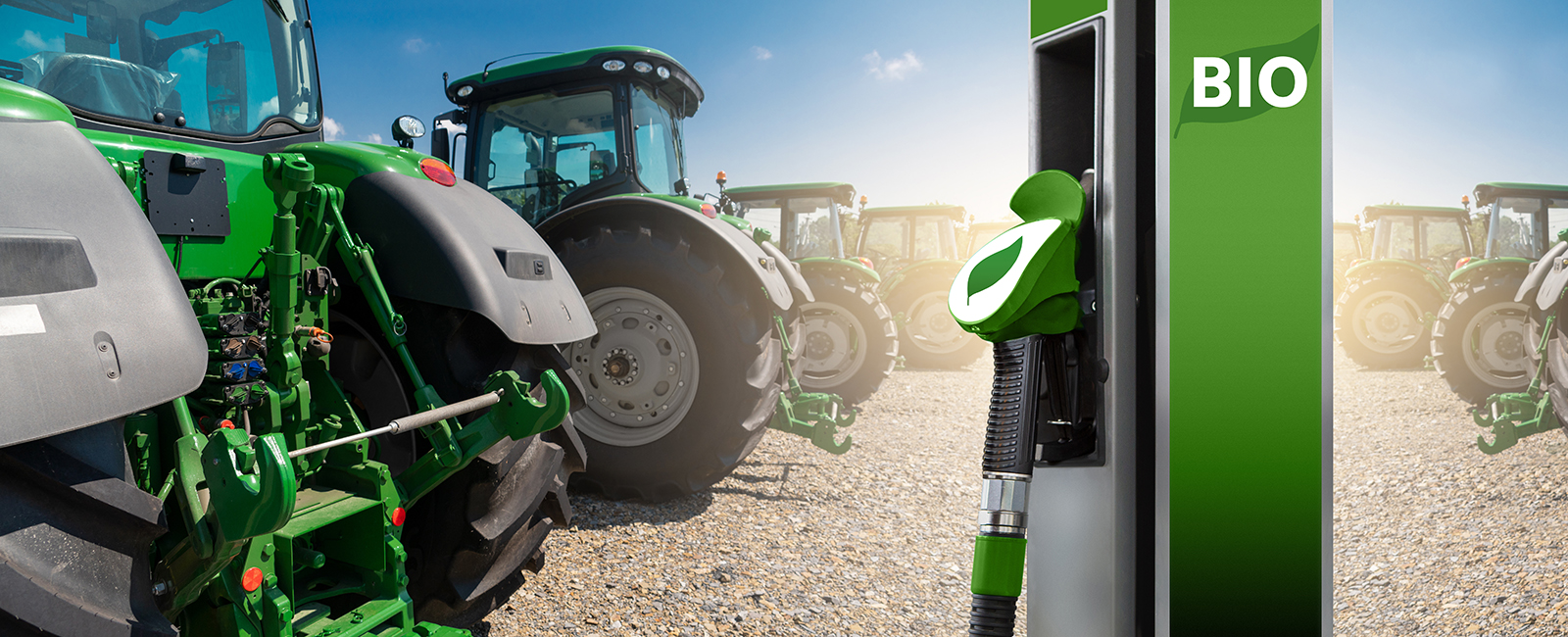 Bio Fuel
