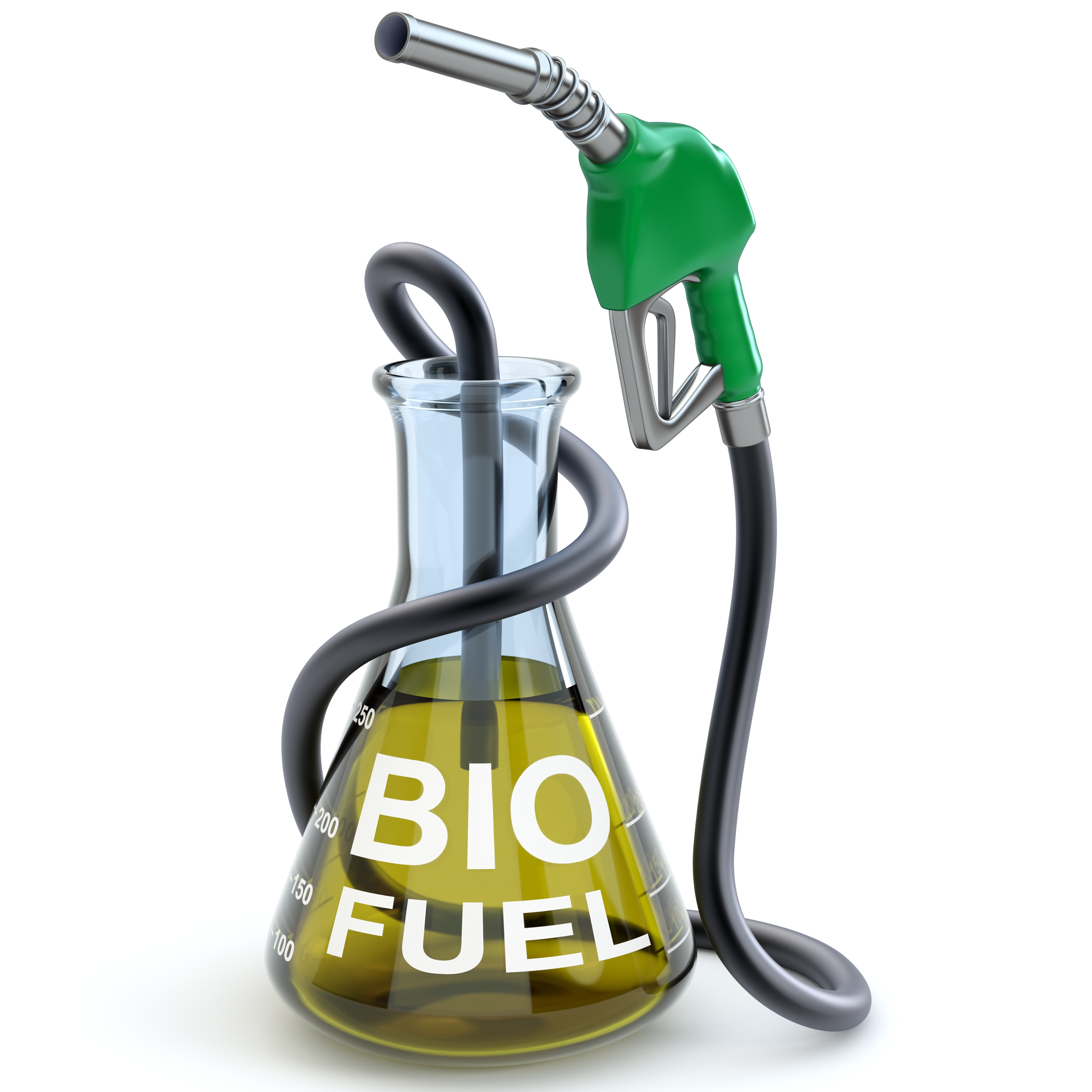Bio Fuel